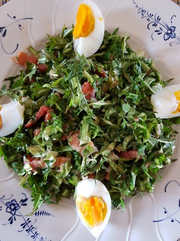 salade1