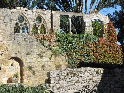 St-Cirq-Lapopie4